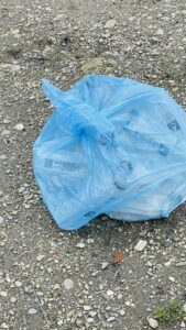 Vânătoare de comori ECO la școala noastră!