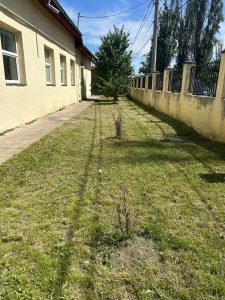 Întreținere spațiu verde din interiorul școlii noastre