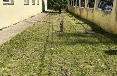 Întreținere spațiu verde din interiorul școlii noastre