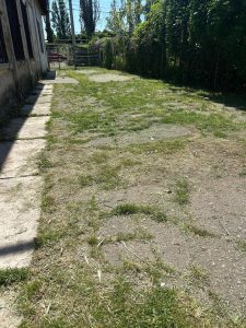 Întreținere spațiu verde din interiorul școlii noastre