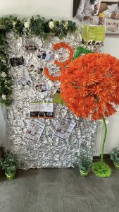 Ziua Porților Deschise organizată de CONCORDIA Proiecte Sociale